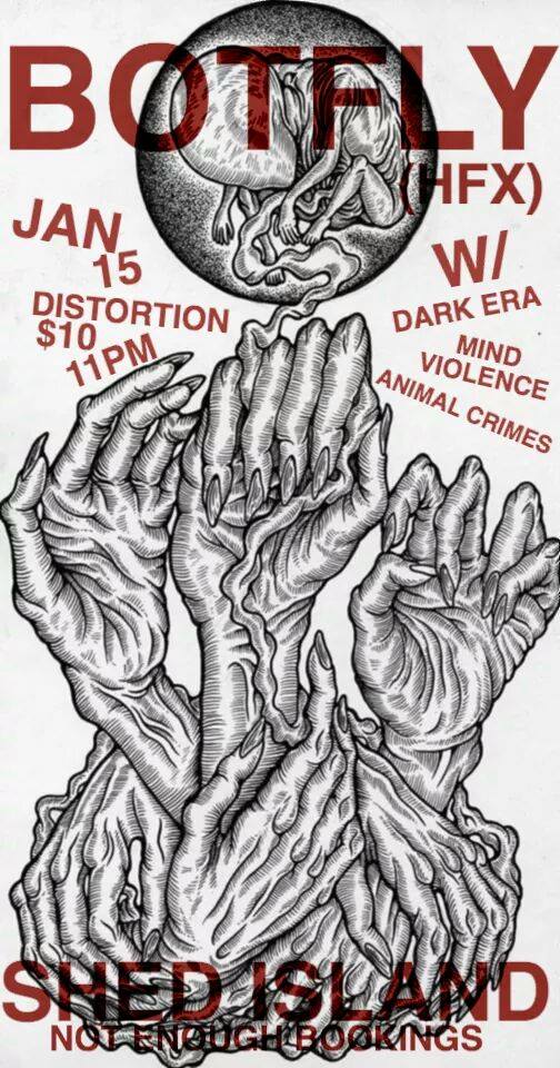 Botfly (HFX) at Shed Island