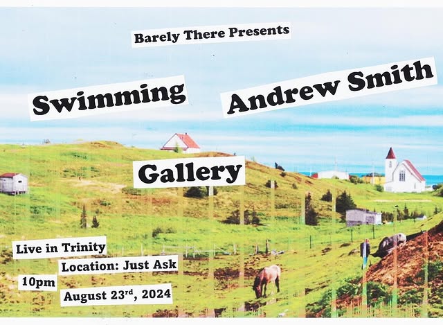 Swimming + Andrew Smith + Gallery